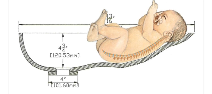 Illustration of baby bathing bowl supporting the spine of a newborn