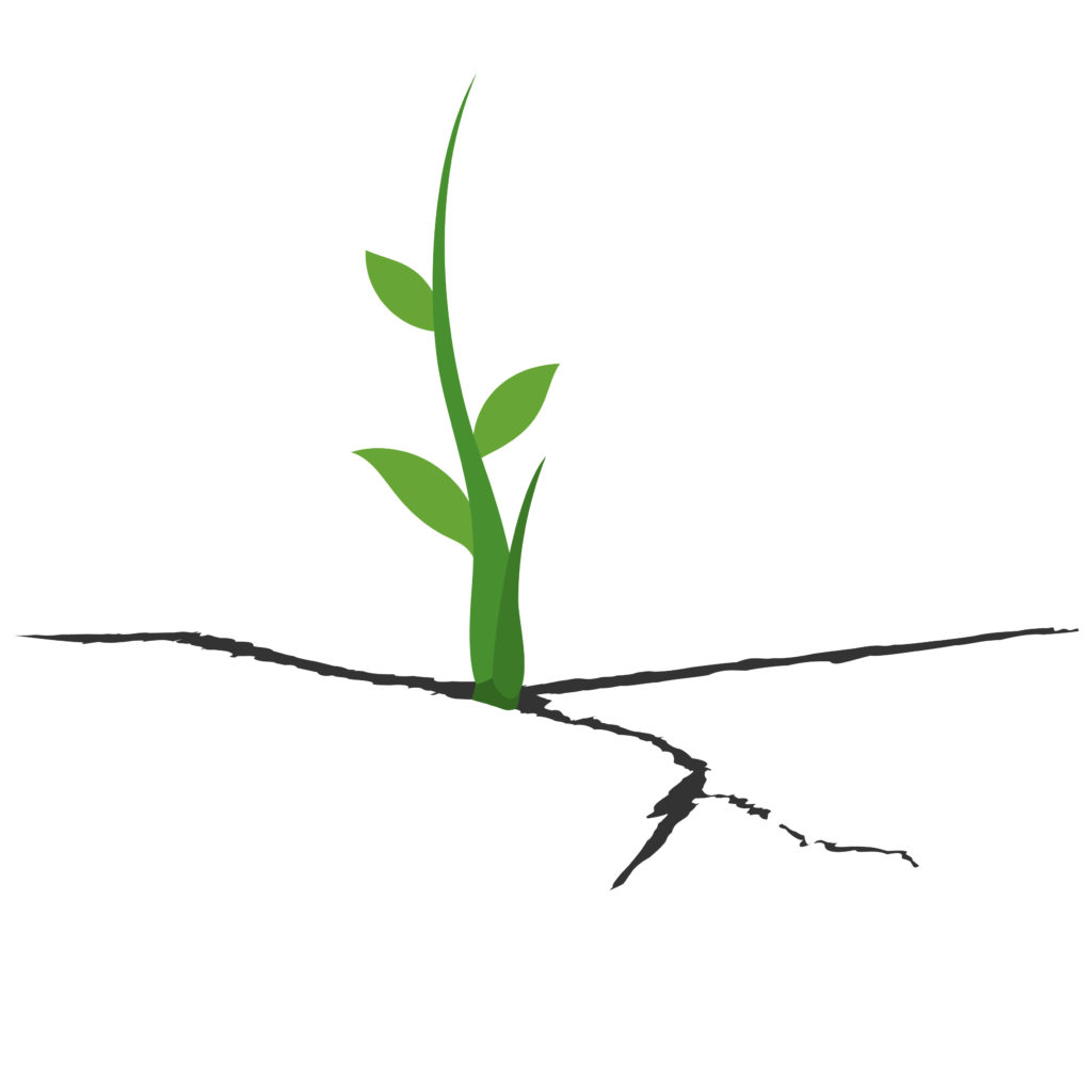 Solid Surface Collaboration – Nursing The Seeds of Innovation