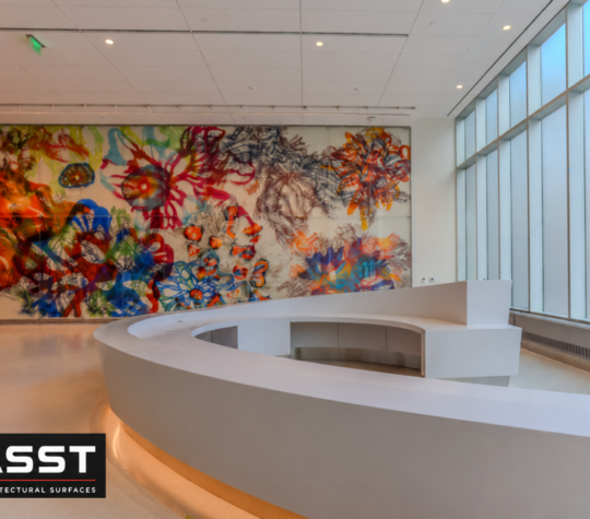 Solid Surface vs. Quartz: Choosing Countertops for Commercial Projects